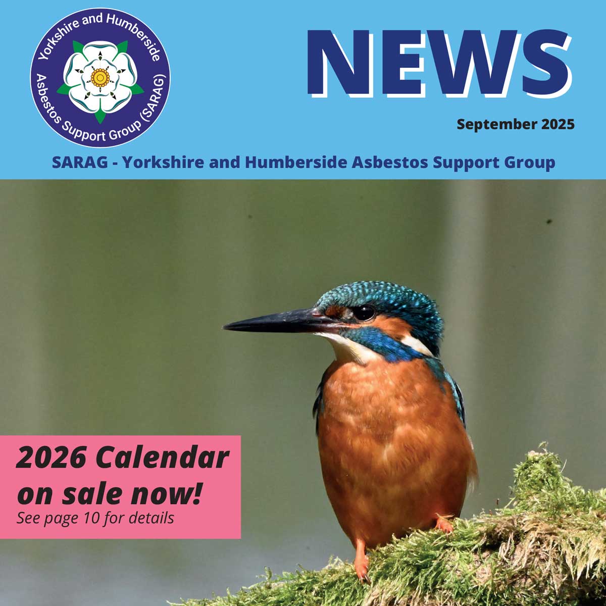 SARAG newsletter September 2025 - Kingfisher on the front cover
